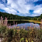 Berghof Almzeit - 