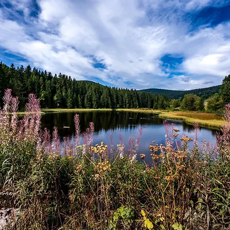 Berghof Almzeit - 