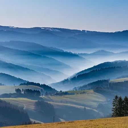 Berghof Almzeit - 