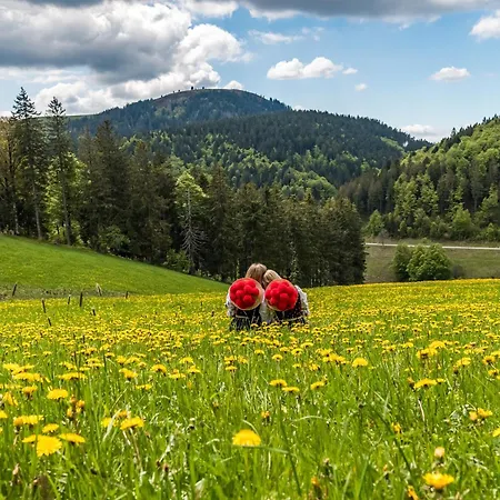 Berghof Almzeit - 