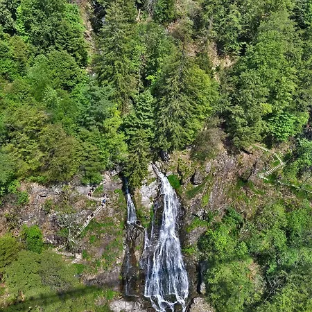 Appartement Berghof Almzeit - 